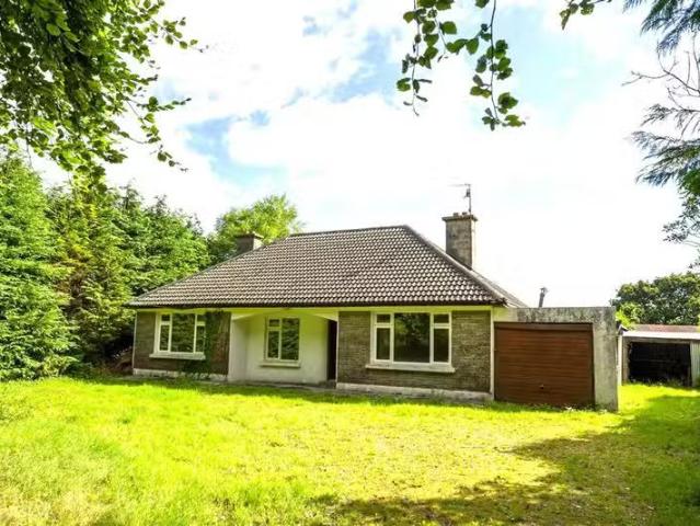 House to rent
