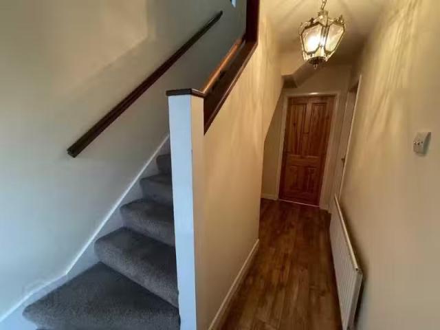 House to rent