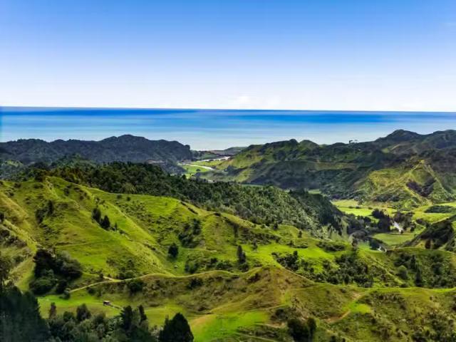 House for rent in Taranaki