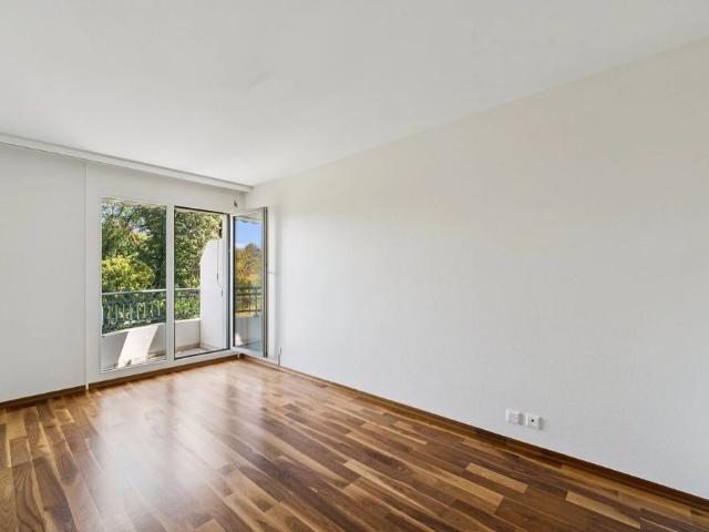 Apartment mieten in Malagnou, Chêne-Bougeries