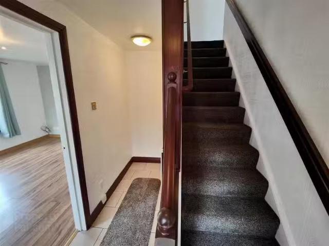 House to rent
