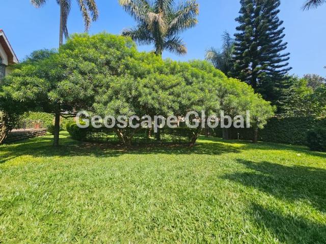 House for rent in Kiambu, Runda