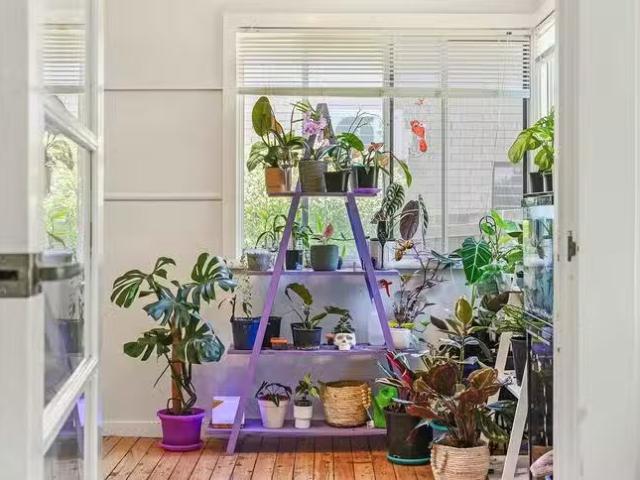 House for rent in Toowoomba, Queensland