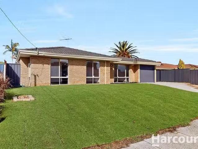 House for rent in Hocking, Western Australia
