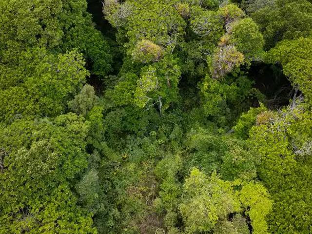 House for rent in Waikanae, Wellington