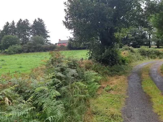 House to rent