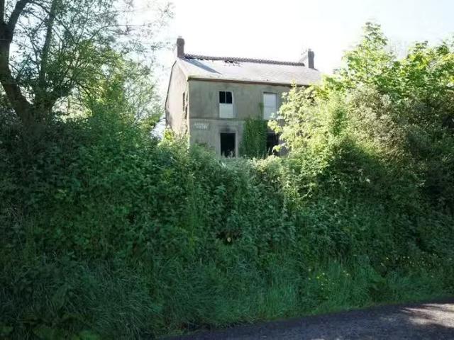 House to rent