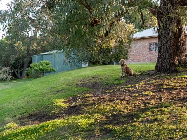 Cottage for sale in Camerons Creek, Victoria