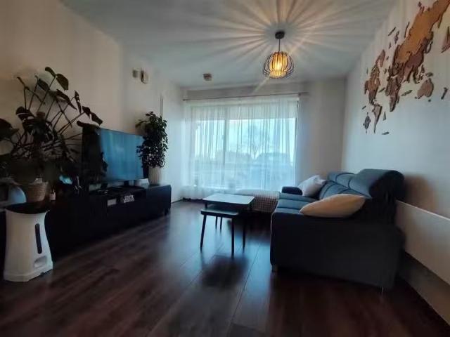 House to rent