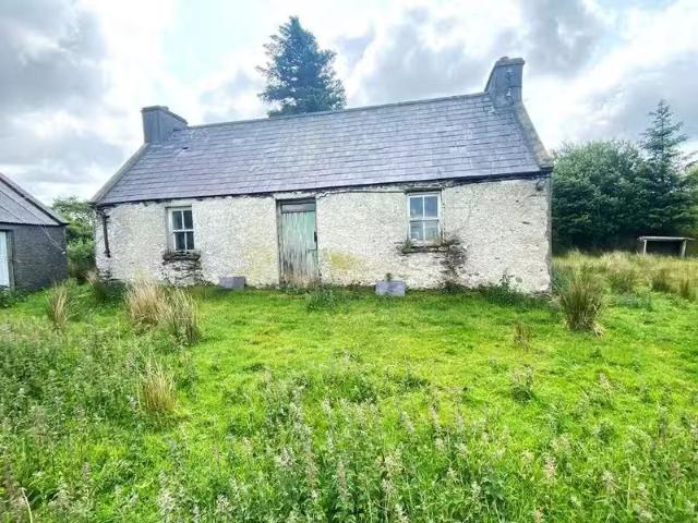 House to rent