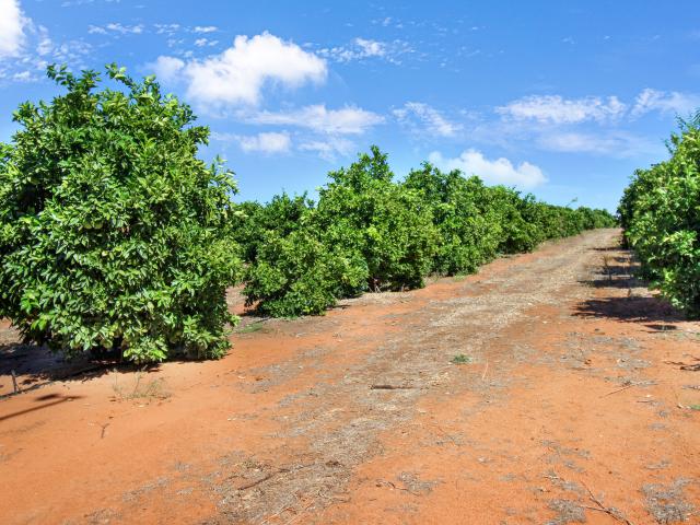 Property for sale in Sunlands, South Australia