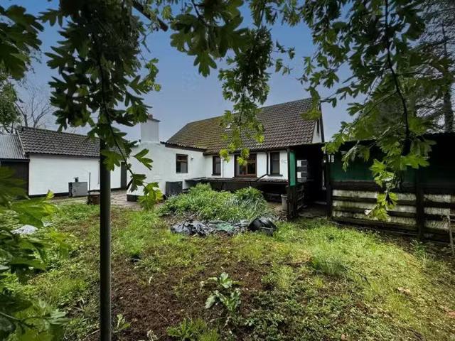 House to rent