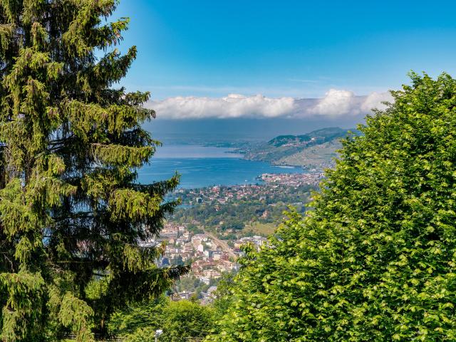 Einfamilienhaus kaufen in Chailly-Montreux, Waadt