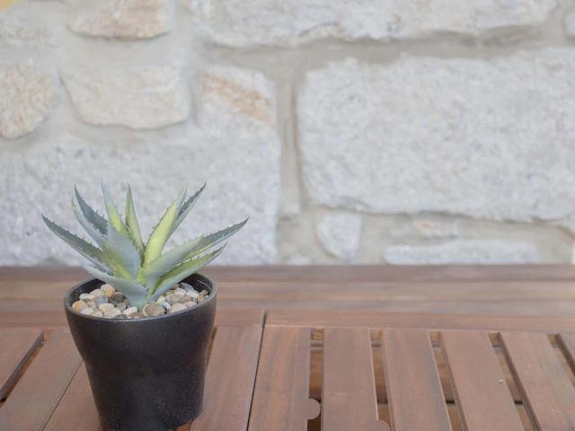Apartamento alugar em Porto, Cedofeita