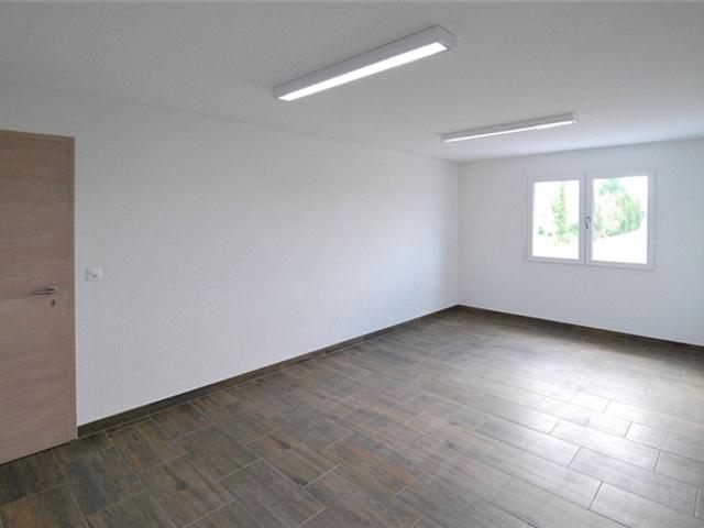 Wohnung mieten in Murten, Freiburg