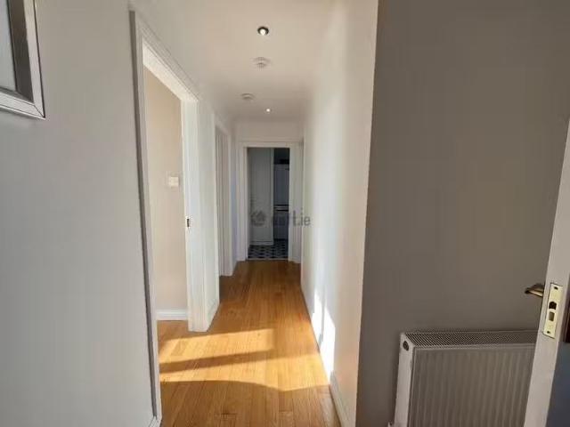 Apartment to rent