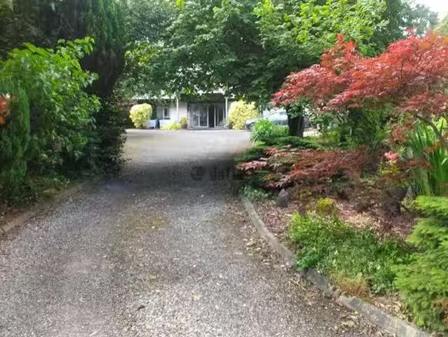 House to rent