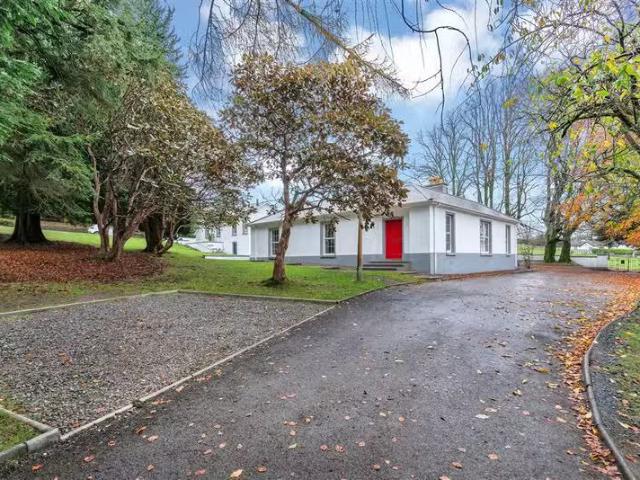 House to rent