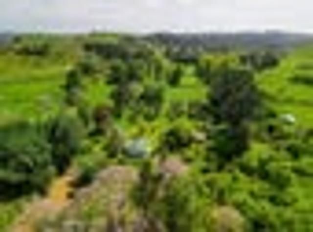 House for sale in Wanganui District