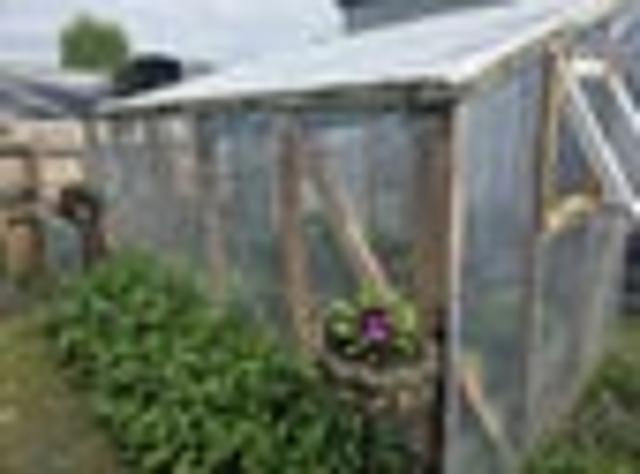 Land for sale in Motatau, Southland