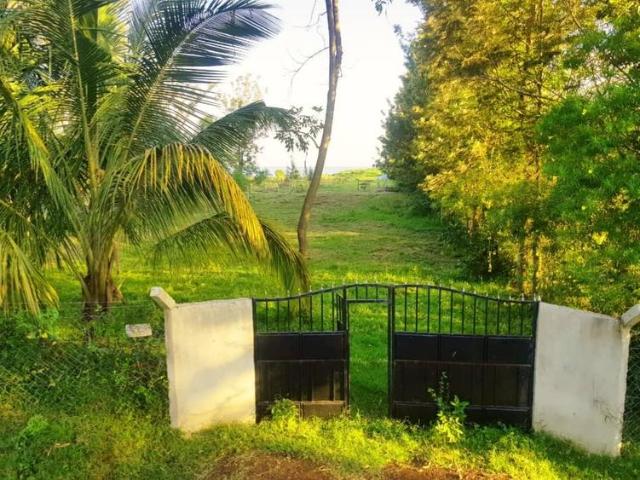 Land for sale in Kisumu