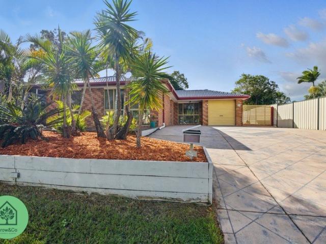 House for rent in Toombul, Queensland
