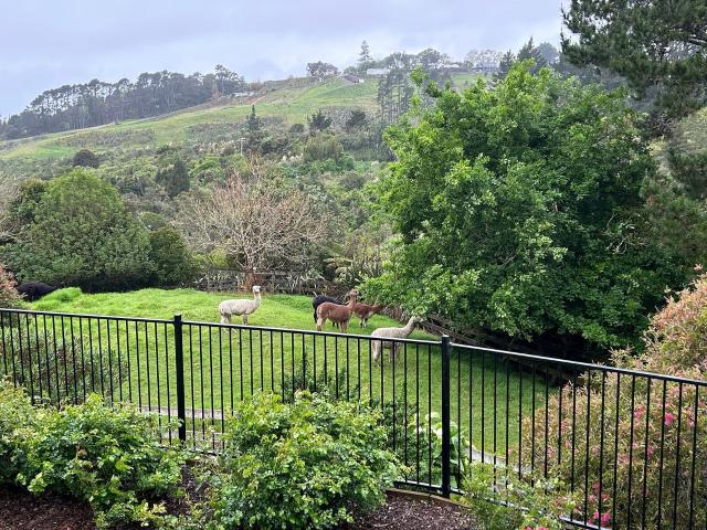 House for rent in Shamrock Park, Howick