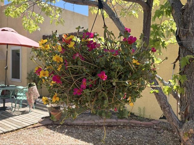 Room for rent in Santa Fe, New Mexico