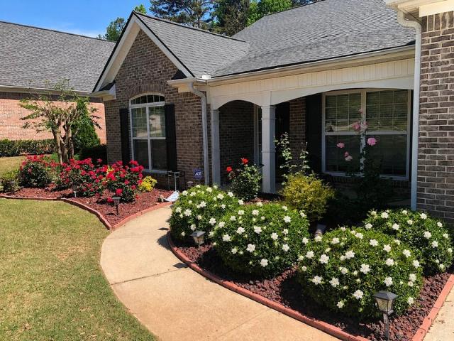 Room for rent in Buford, Georgia