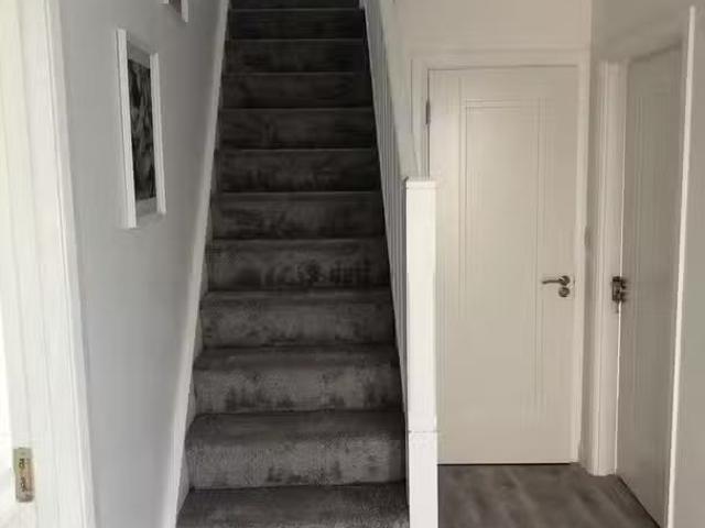 House to rent