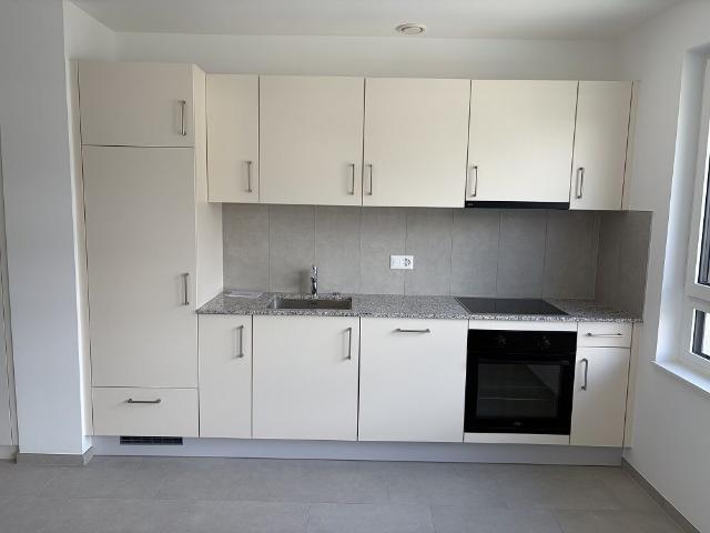 Apartment mieten in Les Mayens-de-Sion, Wallis
