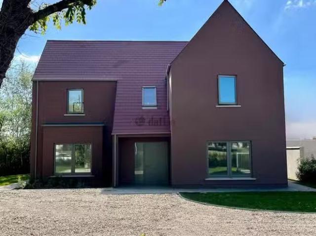 House to rent
