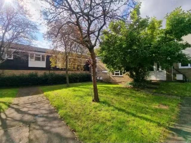 Apartment for rent
