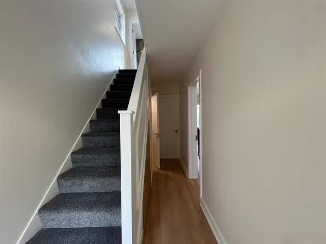 House to rent