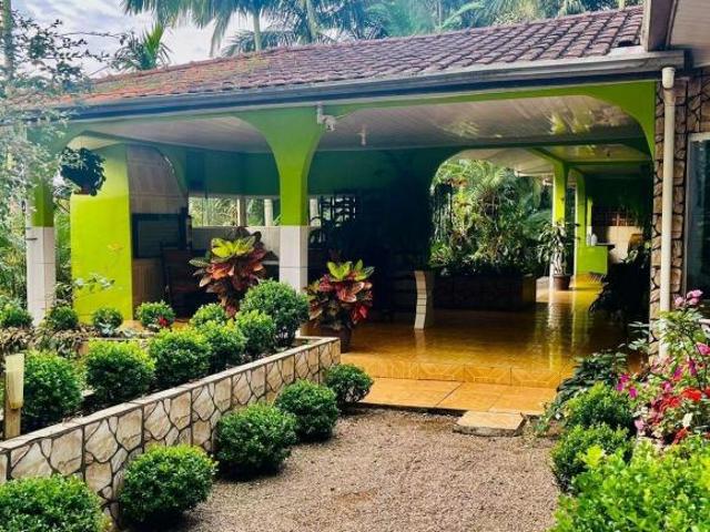 Sítio e chácara venda em Região Geográfica Imediata de Paranaguá, Morretes
