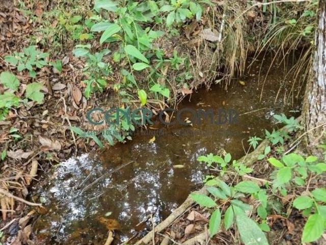 Sítio e chácara venda em Morro do Pião, Itatiaiuçu