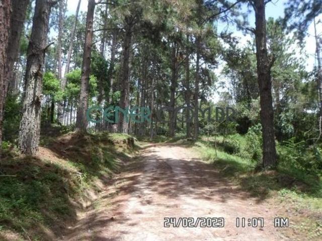 Sítio e chácara venda em Região Geográfica Imediata de Barbacena, Barbacena