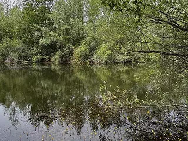 Terrain vente à Charmoy, Yonne