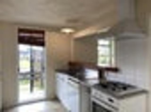House for rent in Hamilton, Waikato