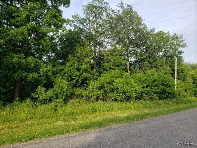 Land for sale in Middleport