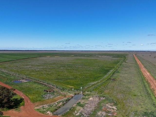 Cottage for sale in Argoon, New South Wales