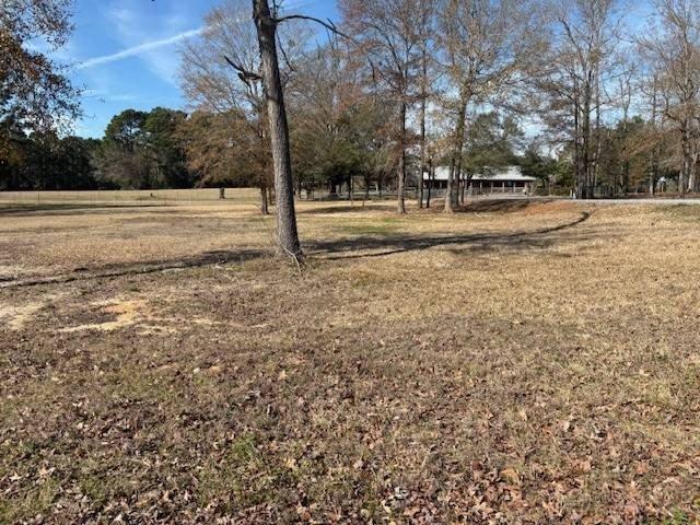 Land for sale in Many, Louisiana