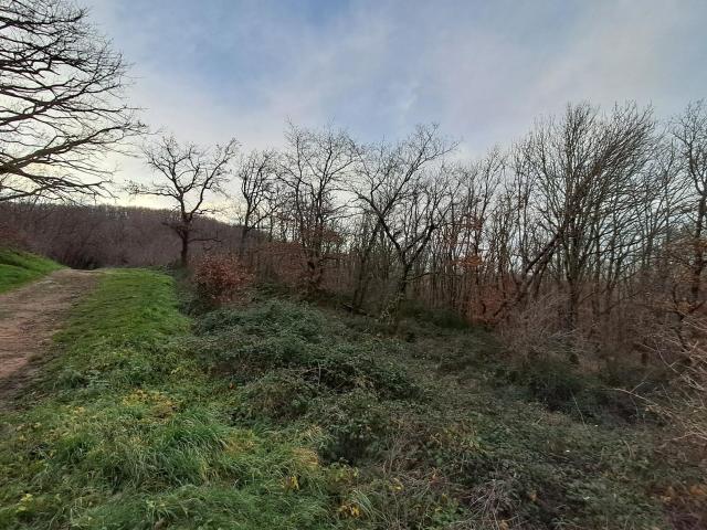 Terrain vente à Villefranche-sur-Saône, Rhône