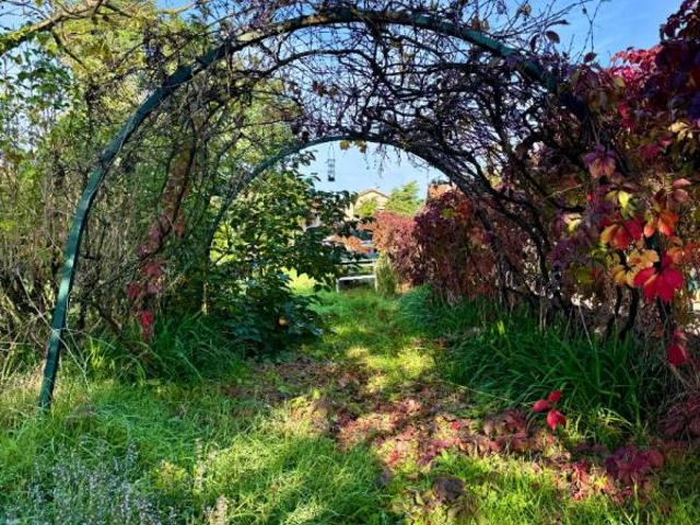 Terrain vente à France métropolitaine, Chassieu