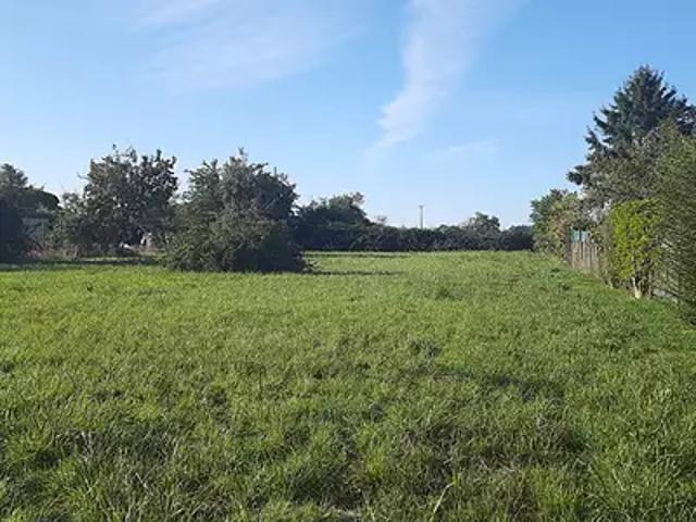 Terrain vente à Cognac, Chassors