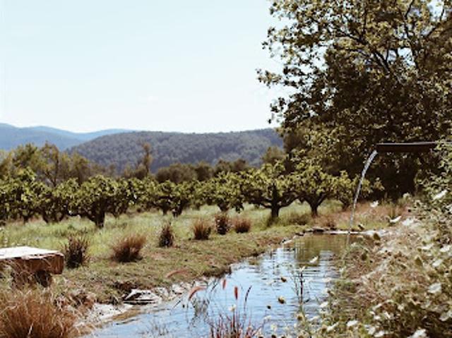 Château vente à Arrondissement de Toulon, Solliès-pont