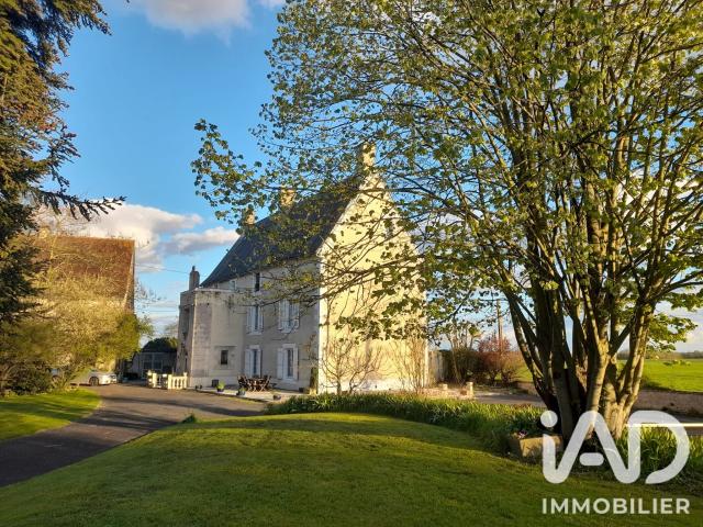 Château vente à Chef-Boutonne