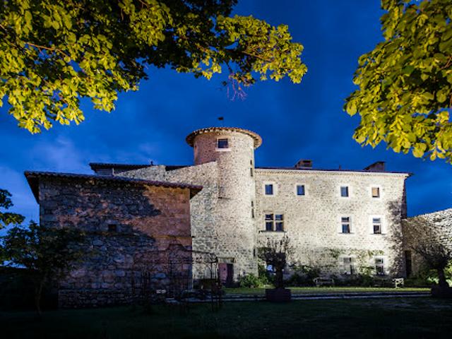 Château vente à Rhône, Auvergne-Rhône-Alpes