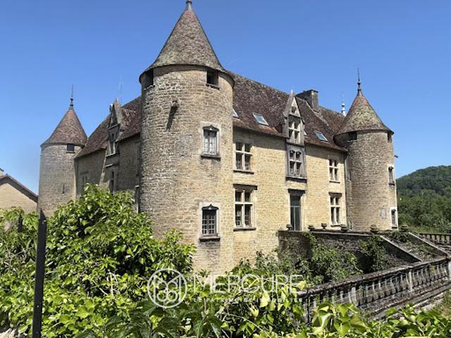 Château vente à Lons-le-Saunier, Domblans