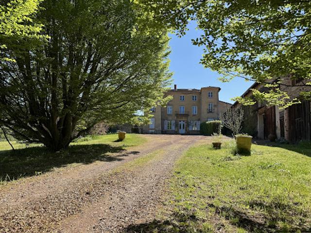 Château vente à Roanne